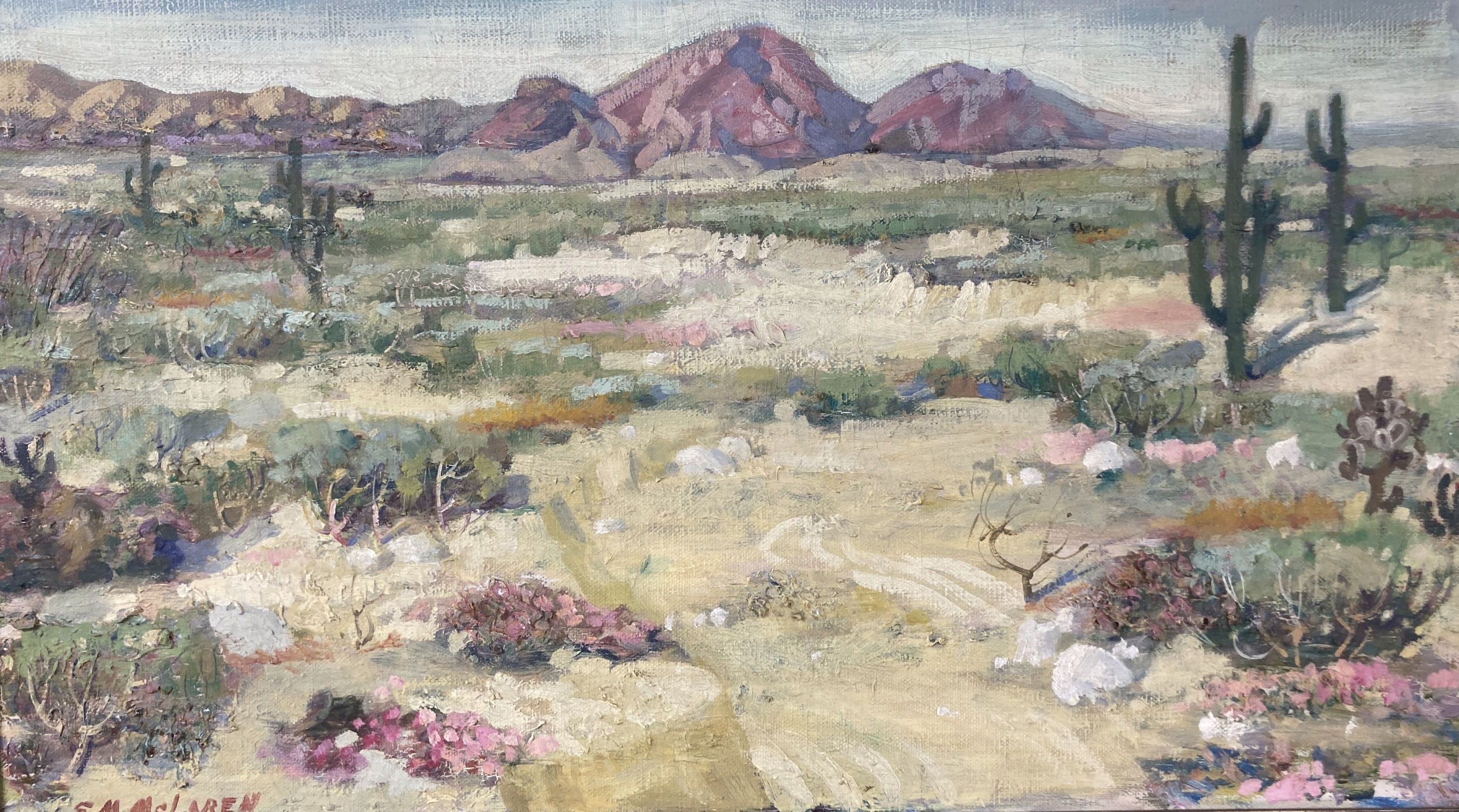 S. M. McLaren, oil on canvas, Desert landscape, signed, 35 x 60cm